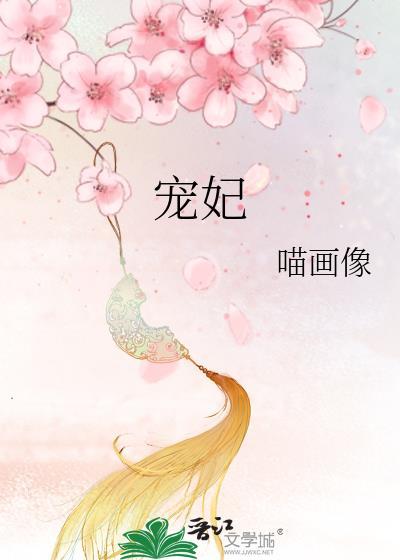 宠妃美貌级别