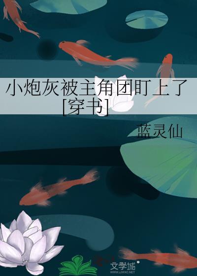 小炮灰被各路大佬的介绍