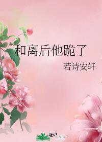 和离后他跪了若诗安