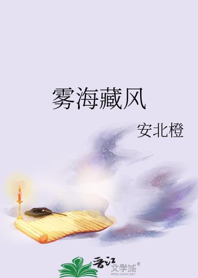 雾海藏风安北橙免费阅读