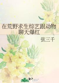 荒野求生的综艺节目有哪些