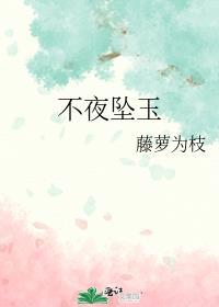 不夜坠玉讲的什么