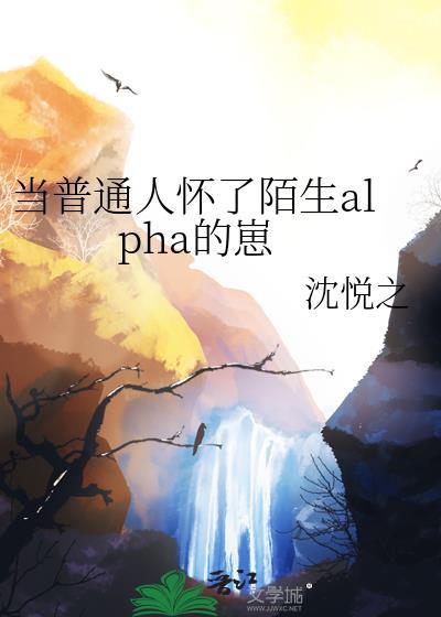 当普通人怀了陌生alpha的崽作者沈悦之