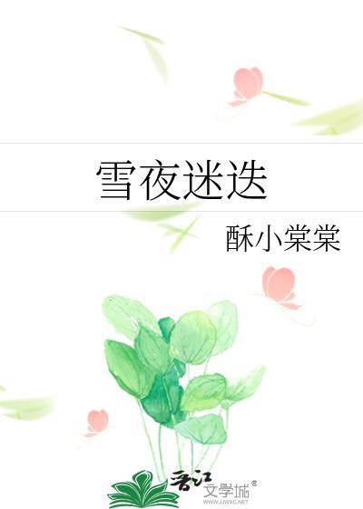 雪夜迷迭免费阅读