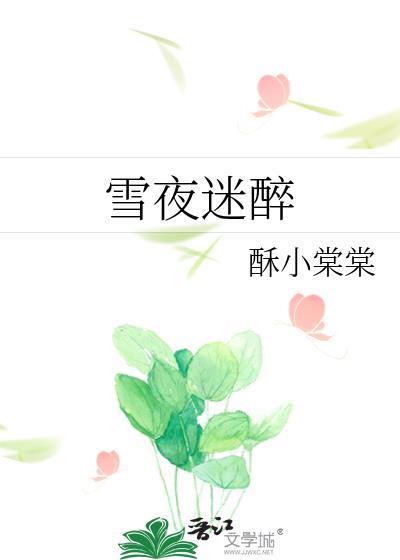 雪夜什么意思