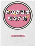 我的老婆是大佬全文