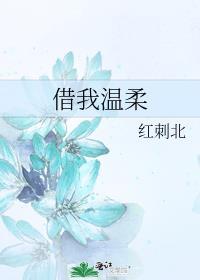借我温柔晋江