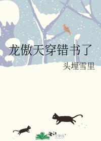 龙傲天穿错书了晋江