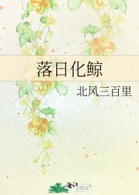 落日化鲸讲了什么