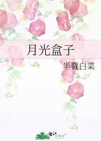 月光盒子半截白菜笔趣阁