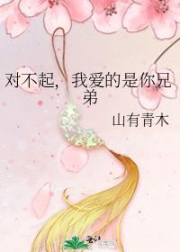 对不起 我爱你是什么歌