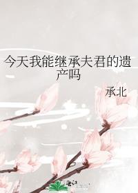 今天我能继承夫君的遗产吗 承北