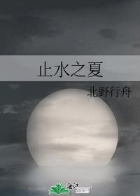 止水之夏作文