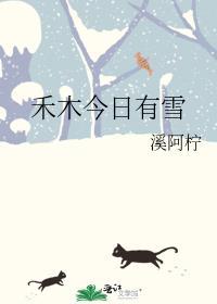 禾木今日有雪by溪阿柠