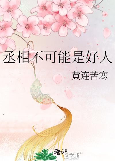 丞相不可能是好人吗