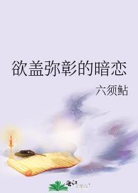 欲盖弥彰22卷