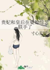 贵妃与皇后的差距大么