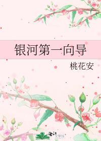 或有情周轩全文免费阅读