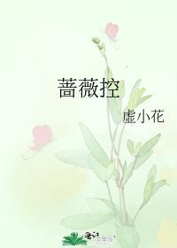 蔷薇控股股份有限公司是国企吗