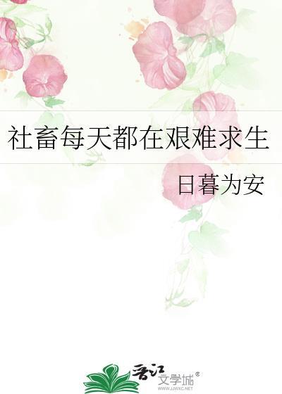 社畜的日常攻略