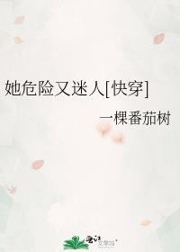 裙钗记