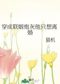 穿成联姻炮灰他只想离婚免费阅读