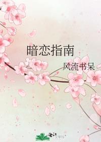暗恋指南苏江越