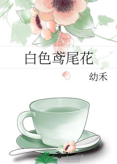 鸢尾兰花图片