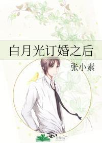 白月光离婚知乎