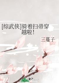 综武侠骑着扫帚穿越啦三蔓子