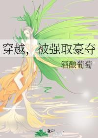 穿越 强取豪夺