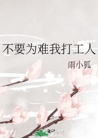 清穿之康熙家的小宠妃完结版