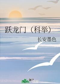 青云扶摇传