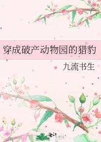 穿成破产动物园的猎豹txt