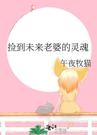 捡到未来老婆的灵魂作者午夜牧猫txt