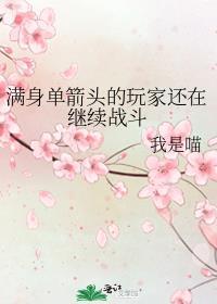 上单身上全是箭的图