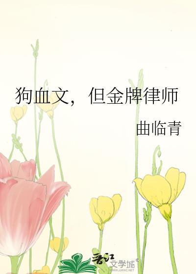 女主是金牌律师的穿越