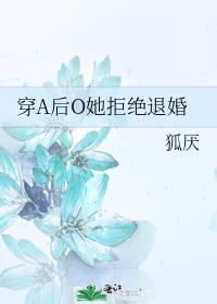 穿A后O她拒绝退婚 狐厌