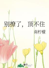 别撩我是啥意思