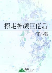 撩走神颜巨佬后我跑路了