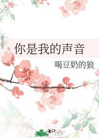 做任务的攻略肉