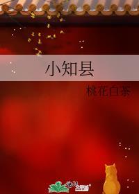 小知县全集