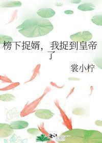 榜下捉婿 笔趣阁