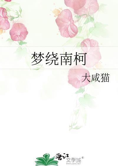 野性设计