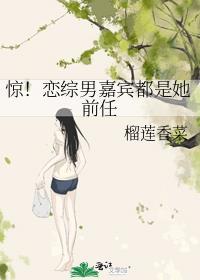 假话夫妻by印灼txt