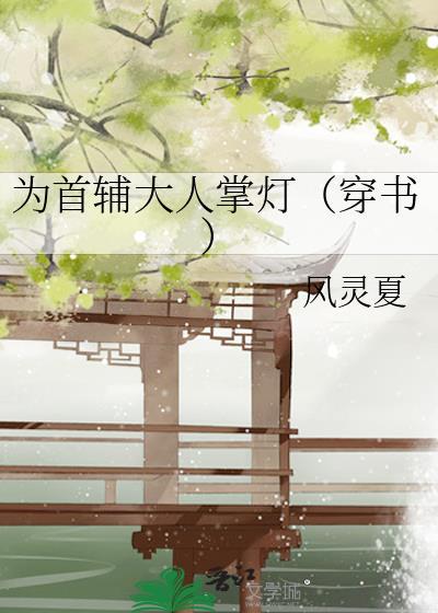 为首辅大人掌灯穿书