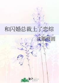 和总裁的