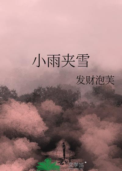 小雨夹雪英文