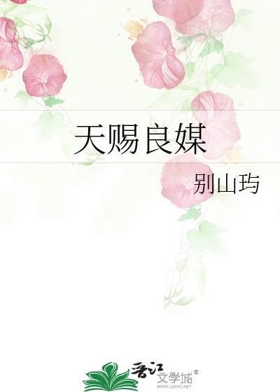 天赐良媒古言推荐