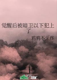 觉醒以后暗卫他以下犯上